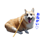 841531174
