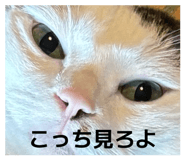 841531734