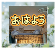 841532374