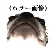 841532534