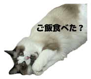 841532666