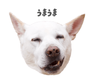 841532829