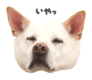 841532833