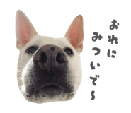 841532838