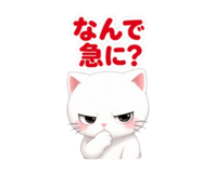 841532916