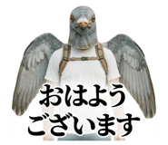 841536665