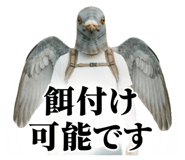 841536690