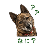 841538715