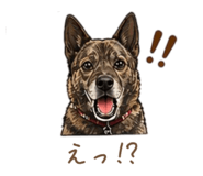 841538727