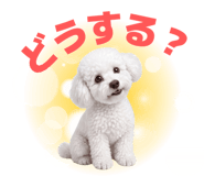 841539018