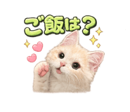 841540581