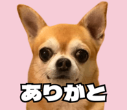 841540875