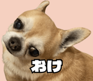 841540879