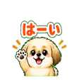 841542430