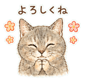 841543602