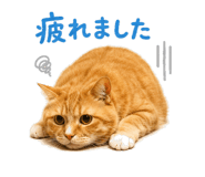 841543842