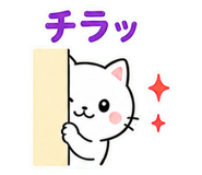 841543908