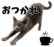 841547512