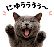 841547534
