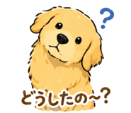 841547790