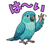 841548877