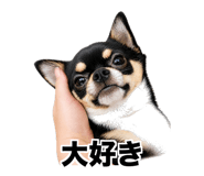 841549006