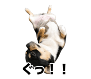 841549010
