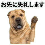 841549537