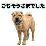 841549554