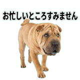 841549555