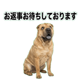 841549566