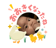841550071