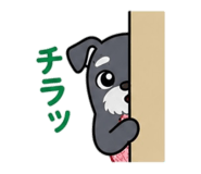 841550151