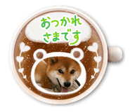 841550302