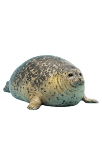 841550849