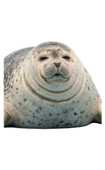 841550859