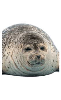 841550861
