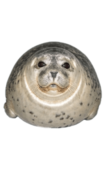 841550878