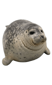 841550882