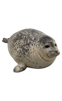 841550886