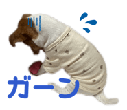 841550923