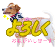 841550927