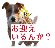 841550935