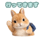 841550962