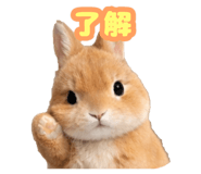 841550964