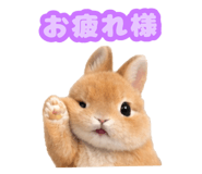 841550968