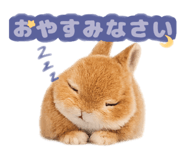 841550972