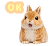 841550973