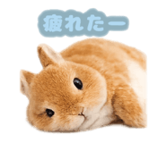 841550974