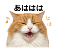 841551224
